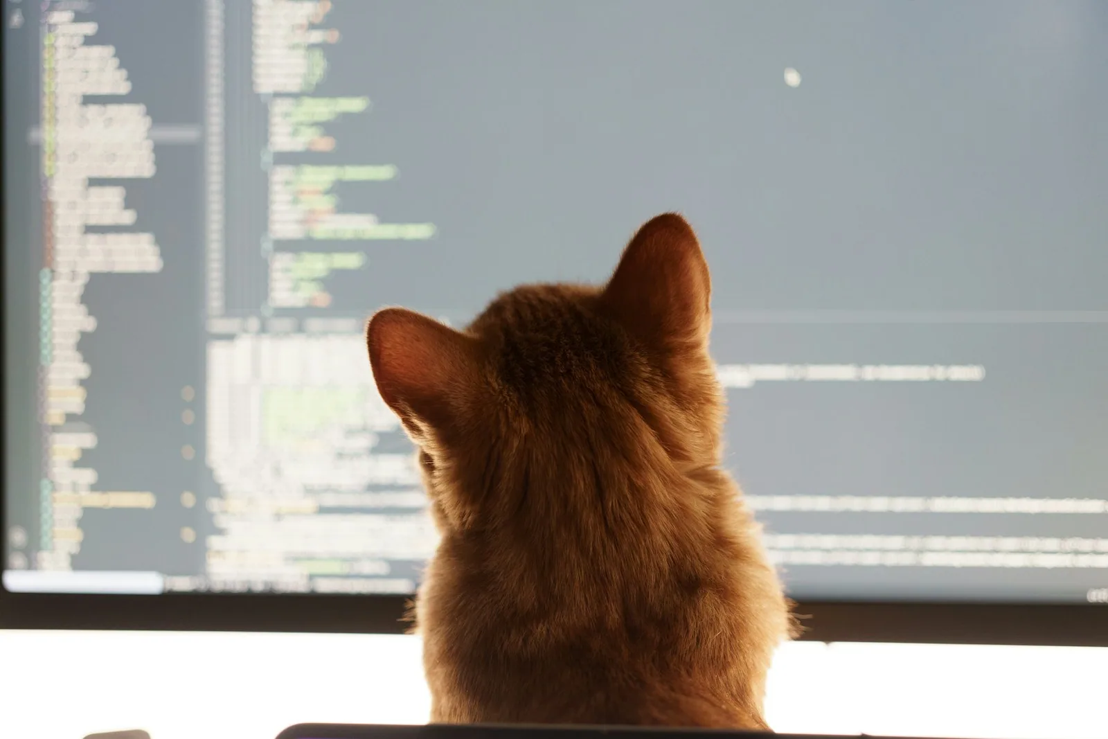 Vibe Coding: O Que É, Riscos e Segurança em 2026